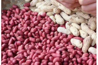 ��Ƥ��������ô�Բ�Ѫ