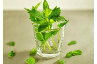 ����Ҷ��ˮ�Ĺ�Ч�����ü�����