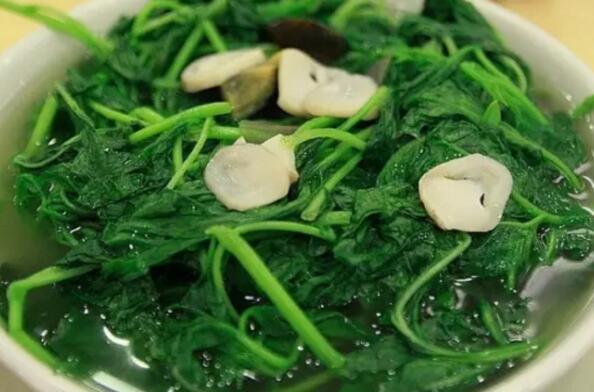 哪些人不宜吃白花菜白花菜的副作用有哪些 花菜 做法 功效与作用 营养价值www Asqxzs Com