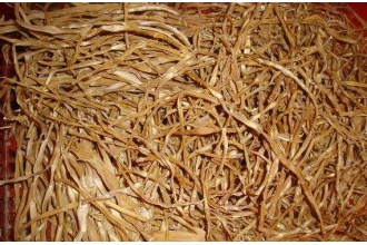 ������Ѹ���ݷ�������