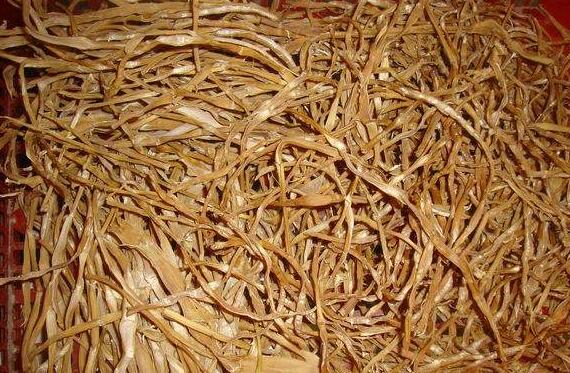 ������Ѹ���ݷ�������