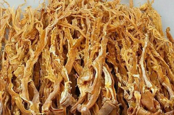 ������Ѹ���ݷ�������