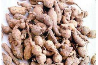 ���ʺ�������ô�����ܳ� ���ڵ��ʺ�����ʳ�÷�