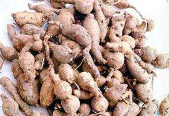 ���ʺ�������ô�����ܳ� ���ڵ��ʺ�����ʳ�÷���