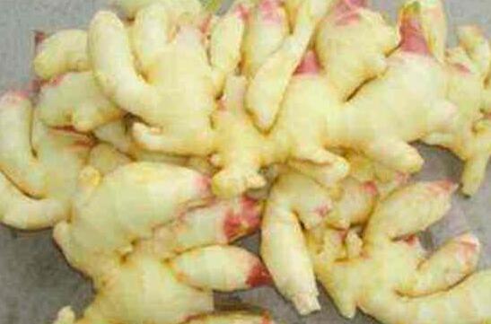 ɽ�������ҩ��Ч������