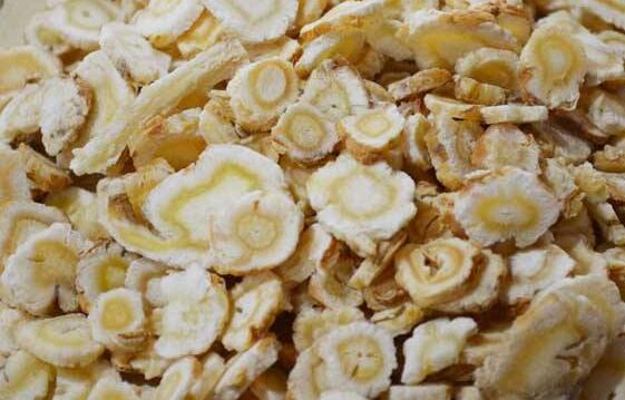 ɳ�ο�����ô�� ����ɳ����ô��