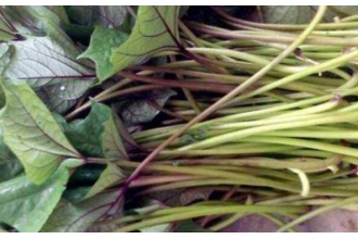 �����ٵĹ�Ч������ �Է����ٵĺô�����Щ