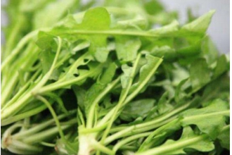 ������ô����ó� ʲô�˲��ܳ�����