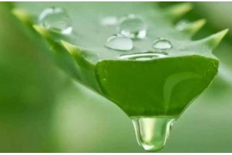 ����«��Ϳ����ȷ���� ����«��Ϳ������