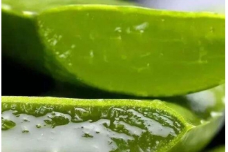 ����Ĩ«������������ «�����þ�����������