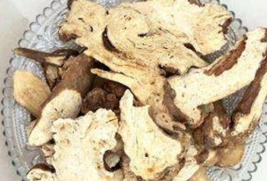 三种人坚决不能吃白术 看看哪些人不适合吃白术