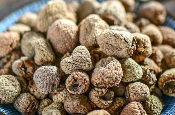 ��ҩ�����Ӷ�Ů�Թ�Ч