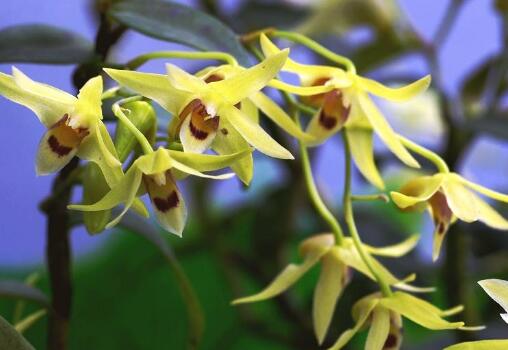 ʯ������ʲôһ����ˮ�ȽϺ�