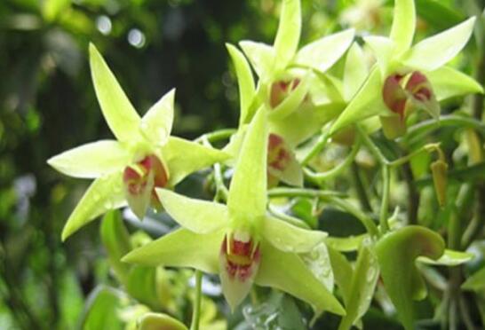 ʯ������ʲôһ����ˮ�ȽϺ�