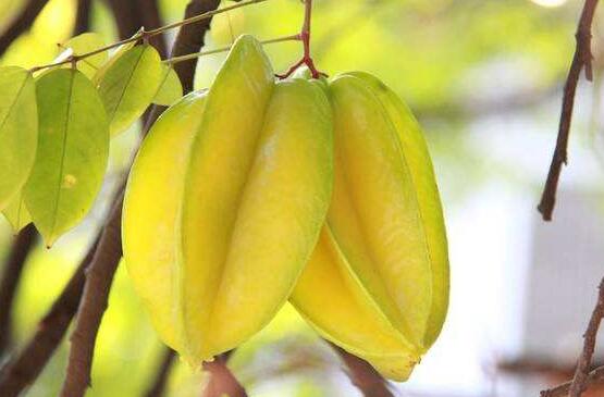 ���һ�������ô�� ������ô�ԱȽ���ȷ