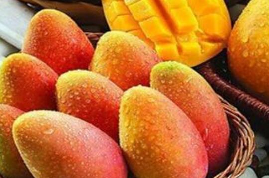 ��ô����â���ܲ��ܳ� ��â���ĺô�