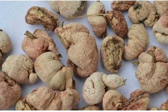 ����ݾƶ�Ů�˵ĺô�