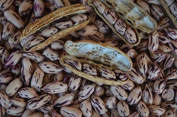 �߲ʻ�����ô�� �����߲ʻ����ĳԷ�