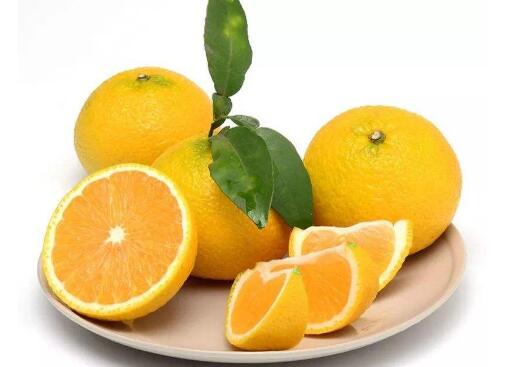 ���ֵ�Ӫ����ֵ�͹�Ч