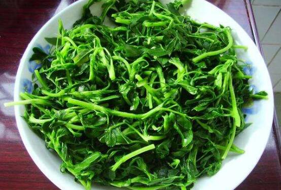 ��ޣ��ô���ų� ��ޣ�ļҳ�������ȫ