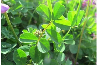 ������ޣ��ô����ʱ�䳤 ��ޣ���䶳������