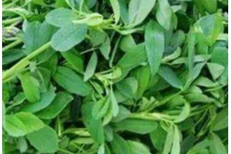 Ů�˳���ޣ�ĺô� Ů�˳���ޣ�Ĺ�Ч������