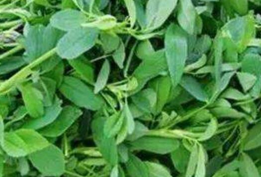 Ů�˳���ޣ�ĺô�