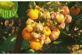 ���ݸ��ݾ���ʲô����