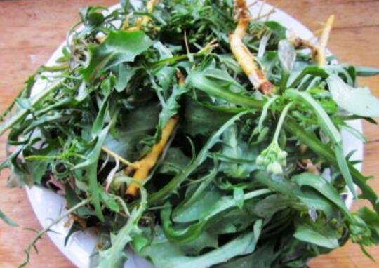 ũ�����Ƚⶾ��Ұ������Щ