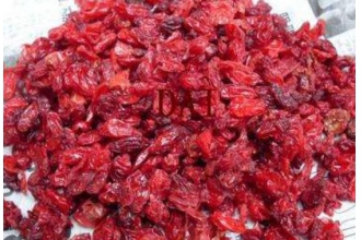 ɽ����ʲô�˲��ܳ� ��ɽ����Ľ���