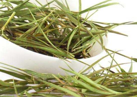 ��Ҷ����ô����ú� ��Ҷ�����ȷ�ݷ�