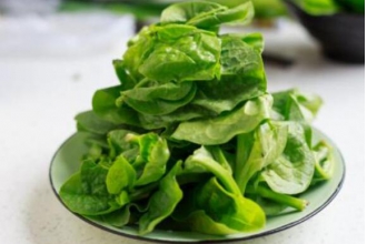 ľ���˵Ĺ�Ч������ ��ľ���˵Ľ���