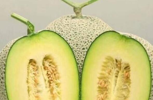 ���ƹϵĹ�Ч�����ý���