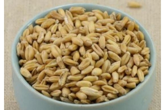 ��С���С������� ��������С��͸�С��