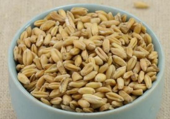 ��С���С������� ��������С��͸�С��