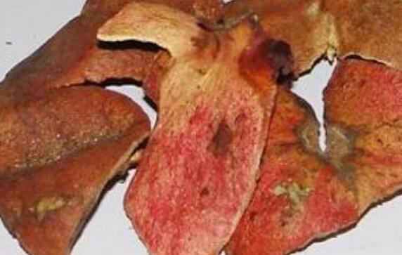 ʯ��Ƥ��ˮϴ����ʲô�ô�