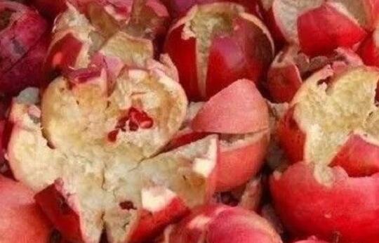 ʯ��Ƥ��ˮ�ȵĽ��� ʯ��Ƥ��ˮ�ж��������