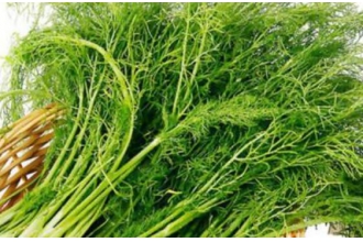 ����˵Ĺ�Ч������ ����˵ĳԷ�