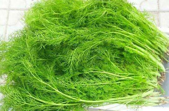 ����˵Ĺ�Ч������ ����˵ĳԷ�