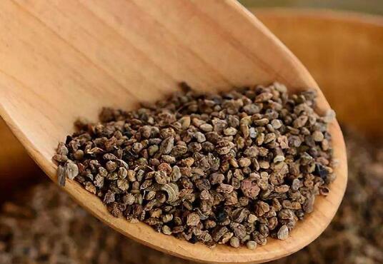 ��ҩ�ط��ӹ�Ч�����ü�����