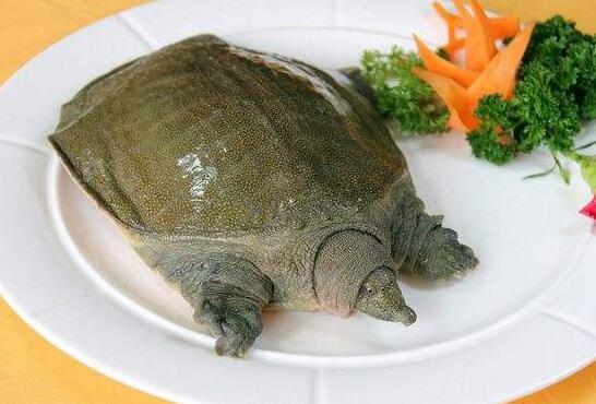 ����Ĺ�Ч�����ü�����