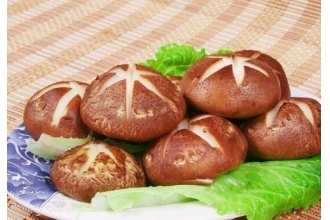 �и��سԵ�12���߲�