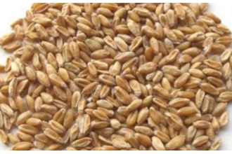 ��С��Ĺ�Ч�����ü�����