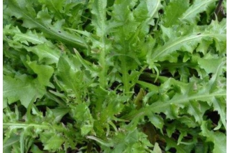 �����˵Ľ�������Щ ��Щ�˲��ܳ�����