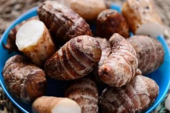 Ů�Գ���ͷ�ĺô������