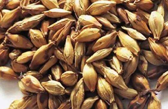 ����ѿ�ͳ���ѿ�Ĺ�Ч