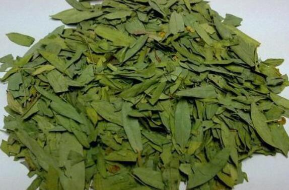 杜仲茶叶泡水喝的功效
