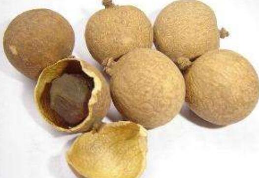 ��Բ�ɵĹ�Ч������ ��Բ�ɵĽ���