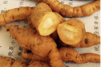 ���ػƵĹ�Ч�����ü�����