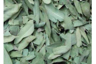 �޲���Ҷ�Ĺ�Ч������ �޲���Ҷ����ȷ�ȷ�